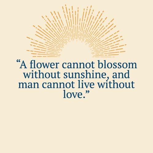 Quotes About Sunshine