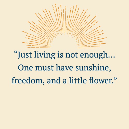 Quotes About Sunshine