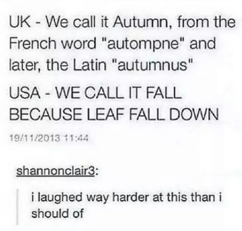 Fall Memes