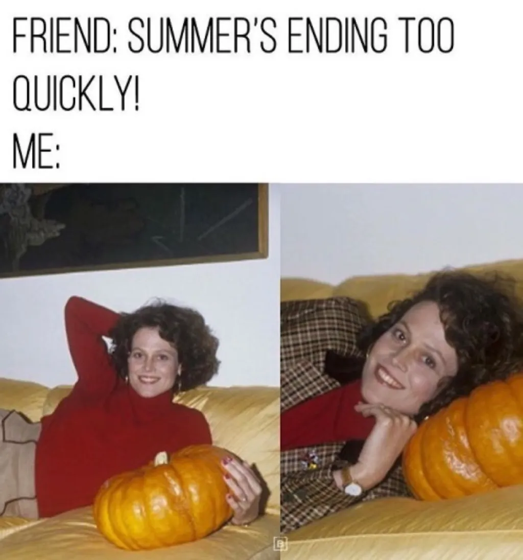 Fall Memes