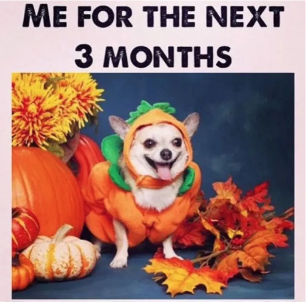 Fall Memes