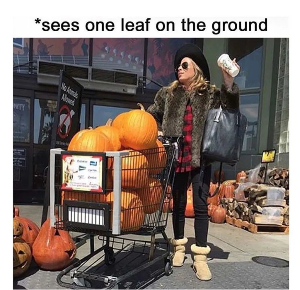 Fall Memes