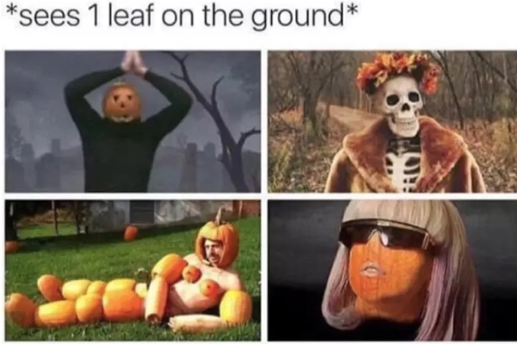 Fall Memes