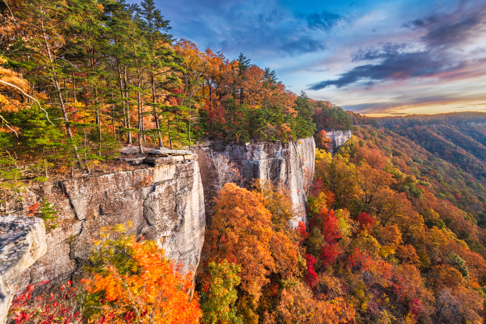 Happiest States in America