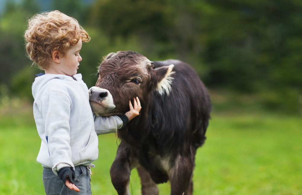 Most Popular Baby Names in Scotland 