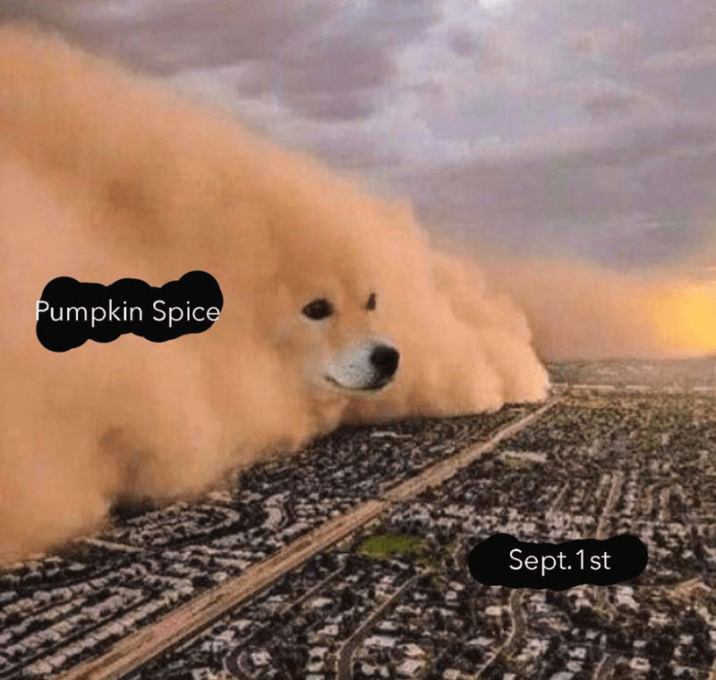 September memes 