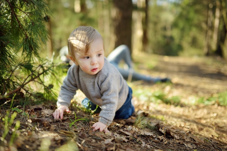 Woodsy Names for Boys