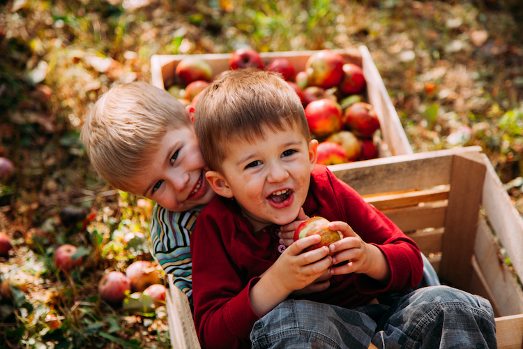 Baby Names for Apple Picking Season