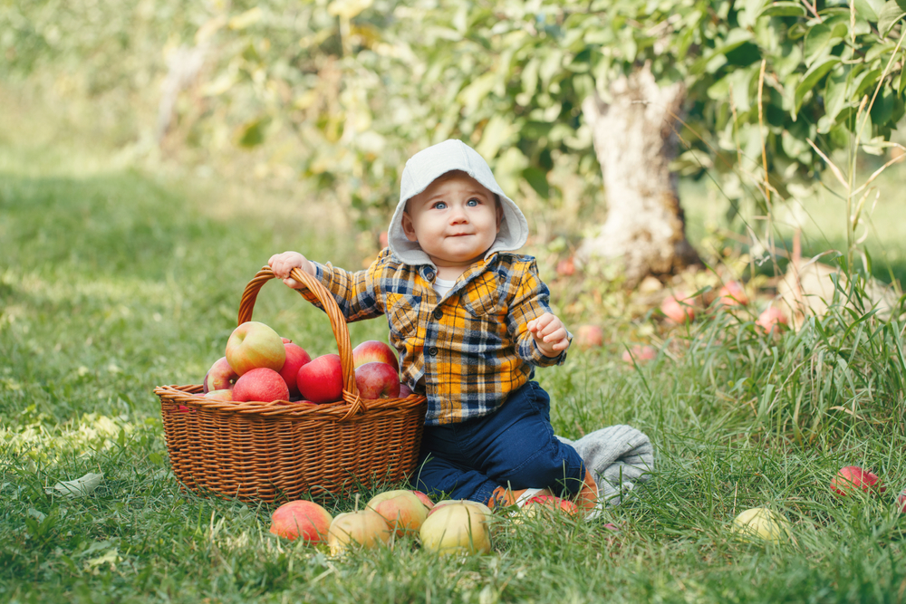 Baby Names for Apple Picking Season 