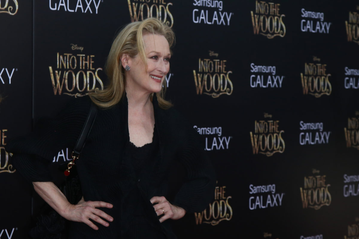 Meryl Streep Has Been Separated From Husband Don Gummer for More Than 6 Years