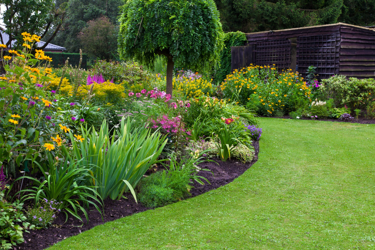 Things You Should Know Before Starting a Garden | As a token of our appreciation for the gardening community, we're sharing some of our best tips for beginners who are starting a garden for the first time.