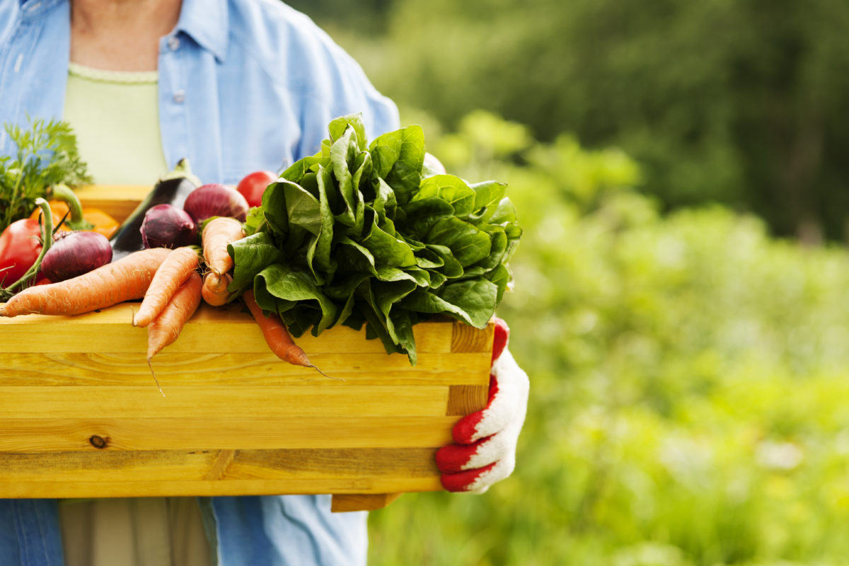 Things You Should Know Before Starting a Garden | As a token of our appreciation for the gardening community, we're sharing some of our best tips for beginners who are starting a garden for the first time.