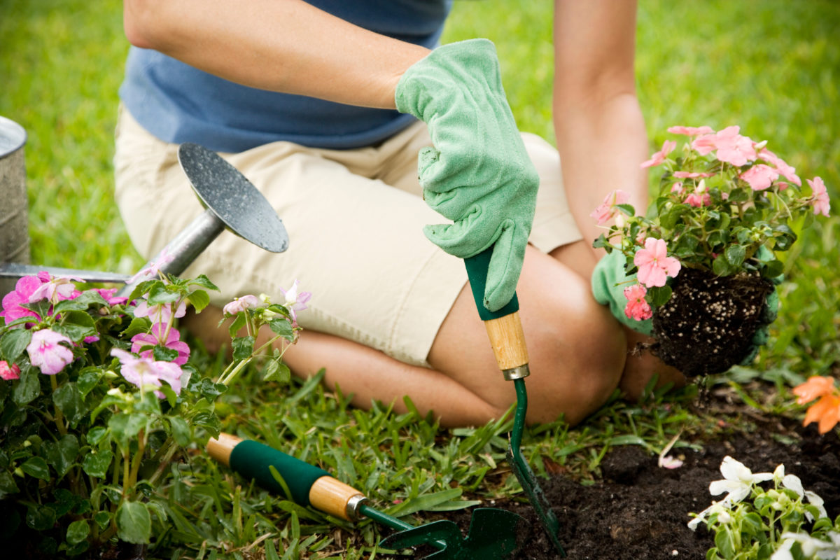 Things You Should Know Before Starting a Garden | As a token of our appreciation for the gardening community, we're sharing some of our best tips for beginners who are starting a garden for the first time.