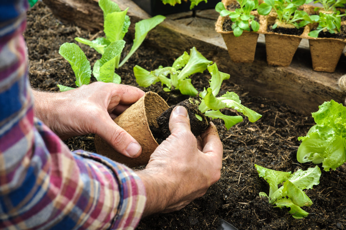 Things You Should Know Before Starting a Garden | As a token of our appreciation for the gardening community, we're sharing some of our best tips for beginners who are starting a garden for the first time.