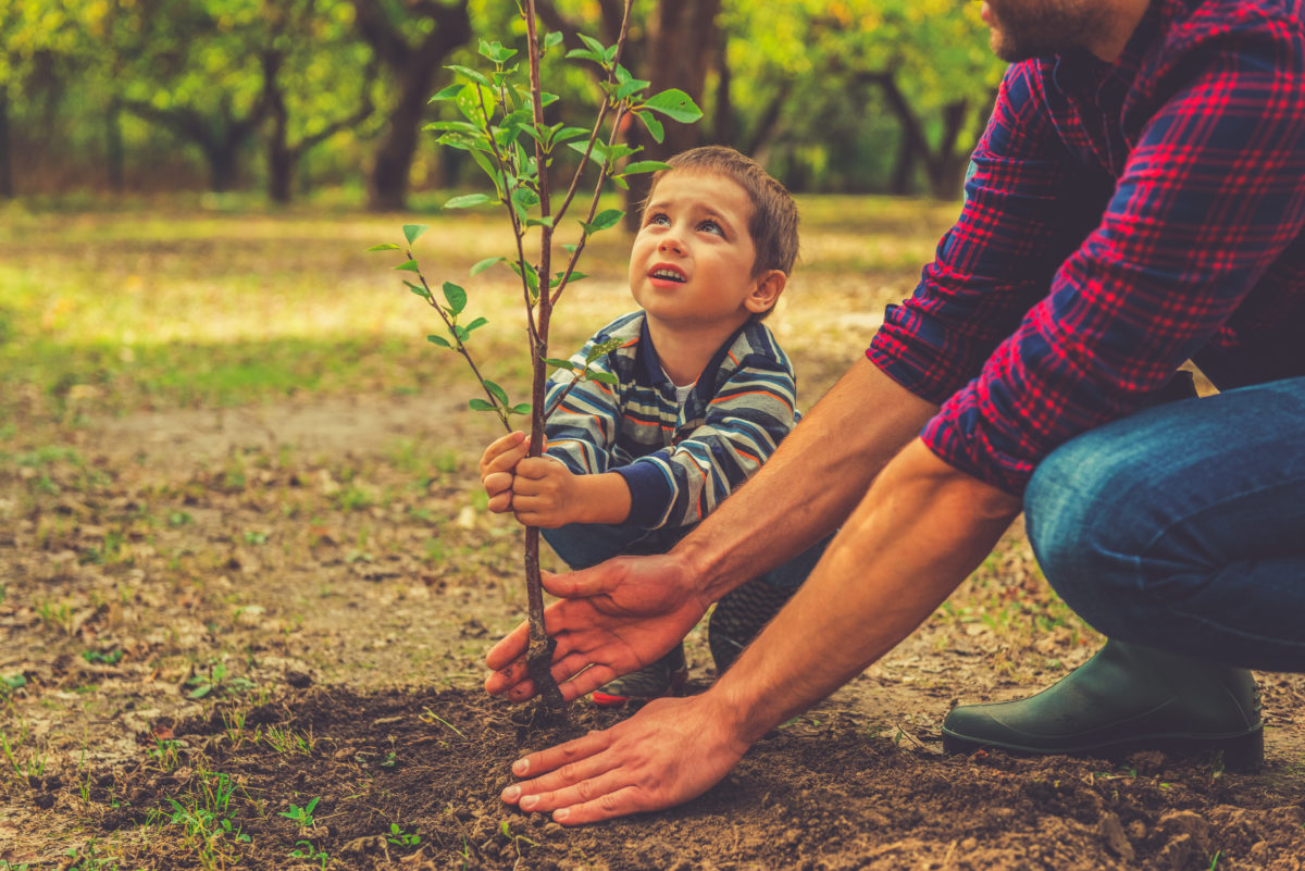 Best Ways to Teach Your Child Responsibility